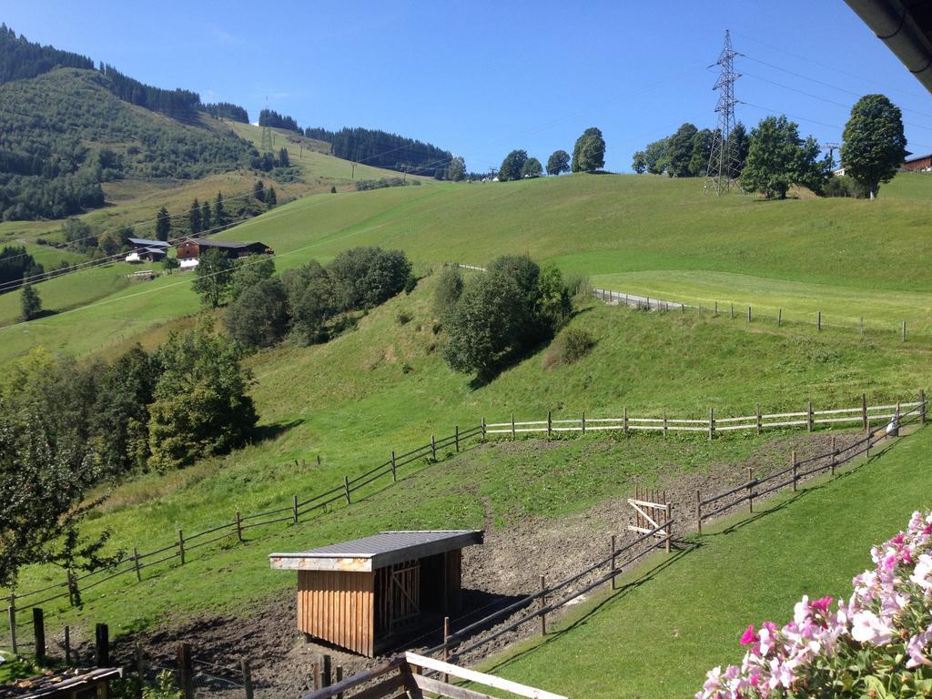 카프룬 Weisssteinalm 빌라 외부 사진